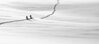 RAQUETTE ou Ski Rando Le grand nord auvergnat: la traversée du Cézallier en 3 jours